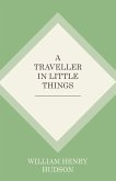 A Traveller in Little Things