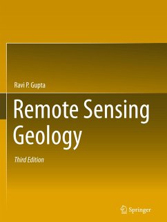 Remote Sensing Geology - Gupta, Ravi P.