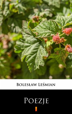 Poezje (eBook, ePUB) - Leśmian, Bolesław