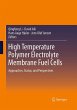 High Temperature Polymer Electrolyte... - Bild 1