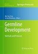 Germline Development - Bild 1