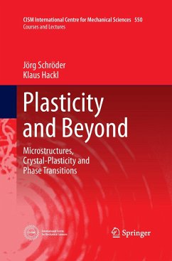 Plasticity and Beyond - Schröder, Jörg;Hackl, Klaus