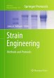 Strain Engineering - Bild 1