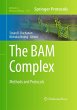 The BAM Complex - Bild 1