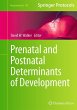 Prenatal and Postnatal Determinants of... - Bild 1