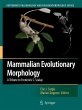 Mammalian Evolutionary Morphology - Bild 1