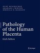 Pathology of the Human Placenta - Bild 1