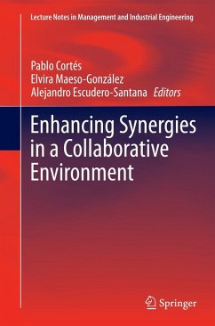 Enhancing Synergies in a Collaborative Environment