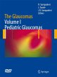 The Glaucomas - Bild 1