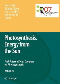 Photosynthesis. Energy from the Sun