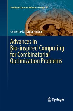 Advances in Bio-inspired Computing for Combinatorial Optimization Problems - Pintea, Camelia-Mihaela