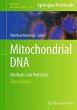 Mitochondrial DNA - Bild 1