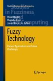 Fuzzy Technology