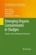 Emerging Organic Contaminants in Sludges - Bild 1