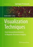 Visualization Techniques