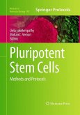 Pluripotent Stem Cells