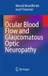 Ocular Blood Flow and Glaucomatous... - Bild 1