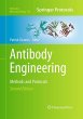 Antibody Engineering - Bild 1