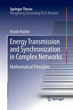 Energy Transmission and Synchronization in Complex Networks - Rubido, Nicolás