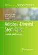 Adipose-Derived Stem Cells - Bild 1