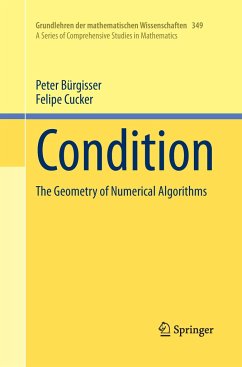 Condition - Bürgisser, Peter;Cucker, Felipe