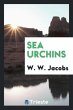 Sea urchins - Bild 1