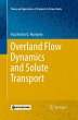 Overland Flow Dynamics and Solute... - Bild 1