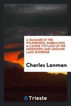 A summer in the wilderness; embracing a canoe voyage up the Mississippi and around lake Superior - Lanman, Charles