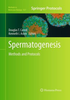 Spermatogenesis Cover Spermatogenesis