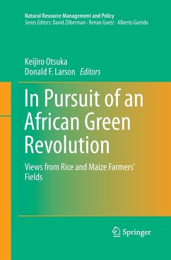 In Pursuit of an African Green Revolution