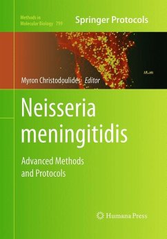 Neisseria meningitidis