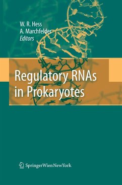 Regulatory RNAs in Prokaryotes