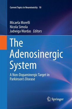 The Adenosinergic System