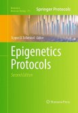 Epigenetics Protocols