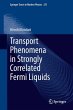 Transport Phenomena in Strongly... - Bild 1