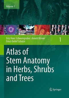Atlas of Stem Anatomy in Herbs, Shrubs and Trees - Schweingruber, Fritz Hans;Börner, Annett;Schulze, Ernst-Detlef