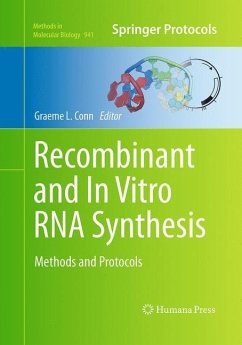 Recombinant and In Vitro RNA Synthesis