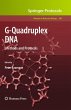 G-Quadruplex DNA - Bild 1