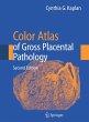 Color Atlas of Gross Placental Pathology - Bild 1
