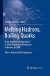 Melting Hadrons, Boiling Quarks - From... - Bild 1