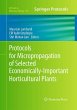Protocols for Micropropagation of... - Bild 1