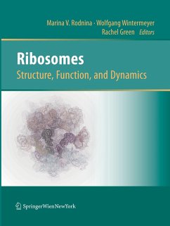 Ribosomes Structure, Function, and Dynamics