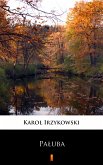 Pałuba (eBook, ePUB)