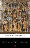 Historia żółtej ciżemki (eBook, ePUB)