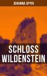 Schloss Wildenstein (eBook, ePUB) - Bild 1