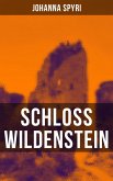 Schloss Wildenstein (eBook, ePUB)