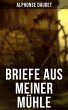 Briefe aus meiner Mühle (eBook, ePUB) - Bild 1