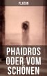Phaidros oder Vom Schönen (eBook, ePUB) - Bild 1