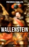 Wallenstein (Trilogie) (eBook, ePUB)