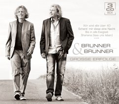 Große Erfolge - Brunner & Brunner